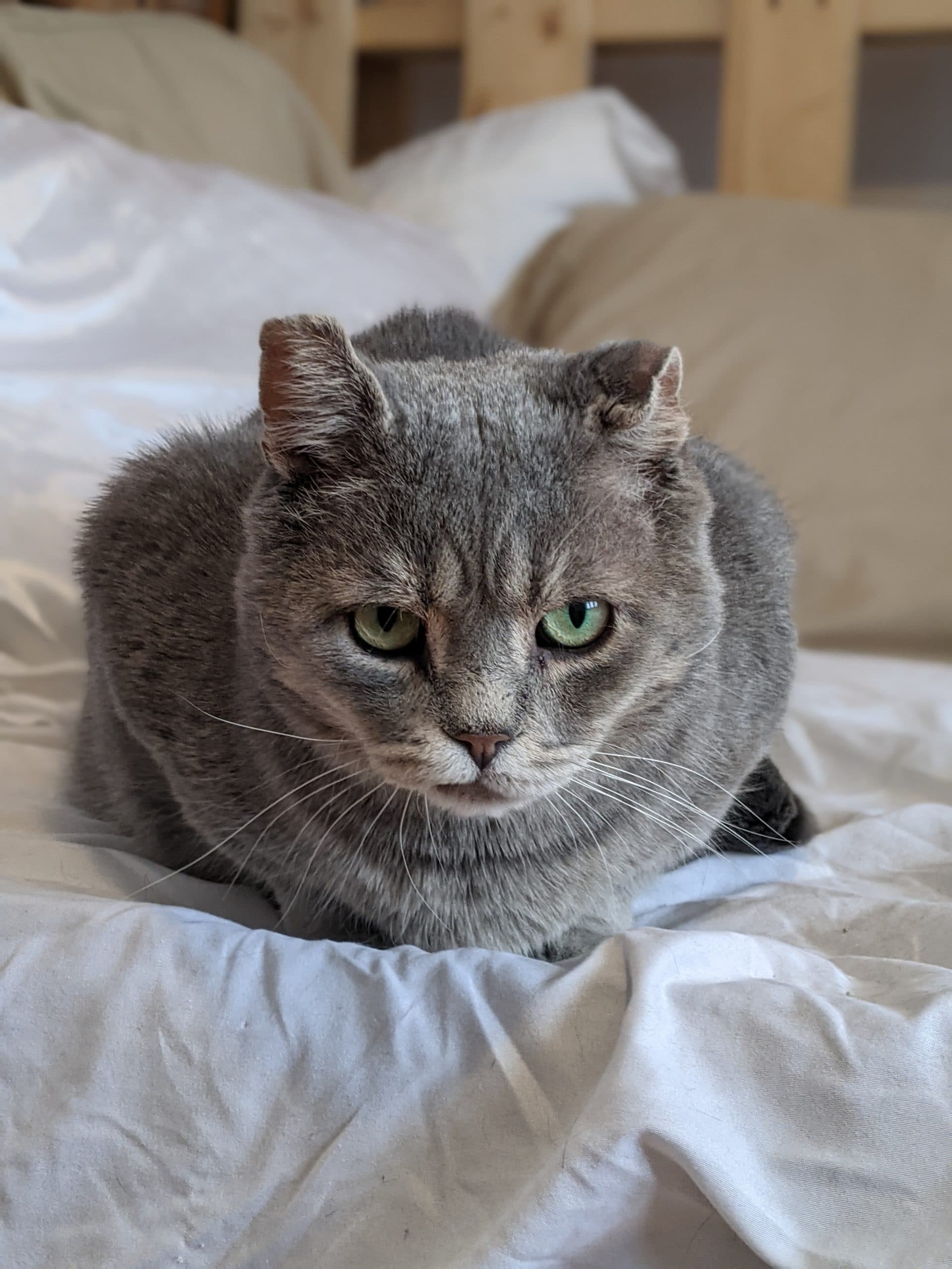 PXL_20210227_203634069.PORTRAIT