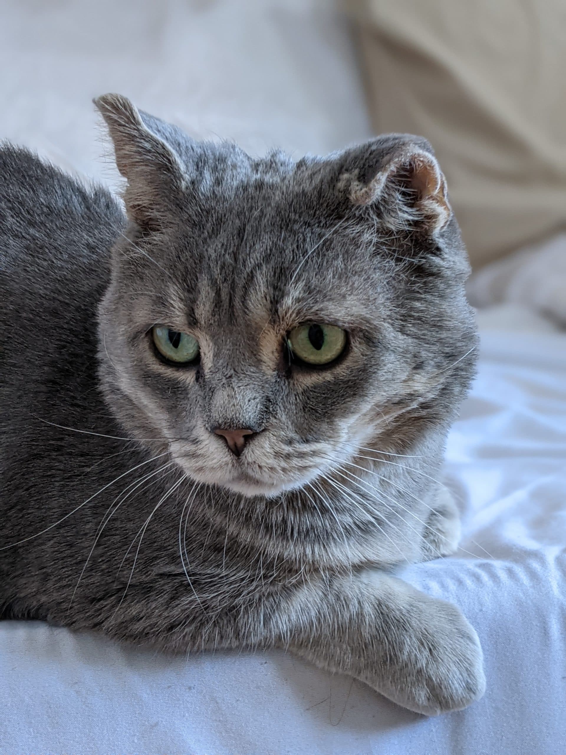 PXL_20210302_201647737.PORTRAIT