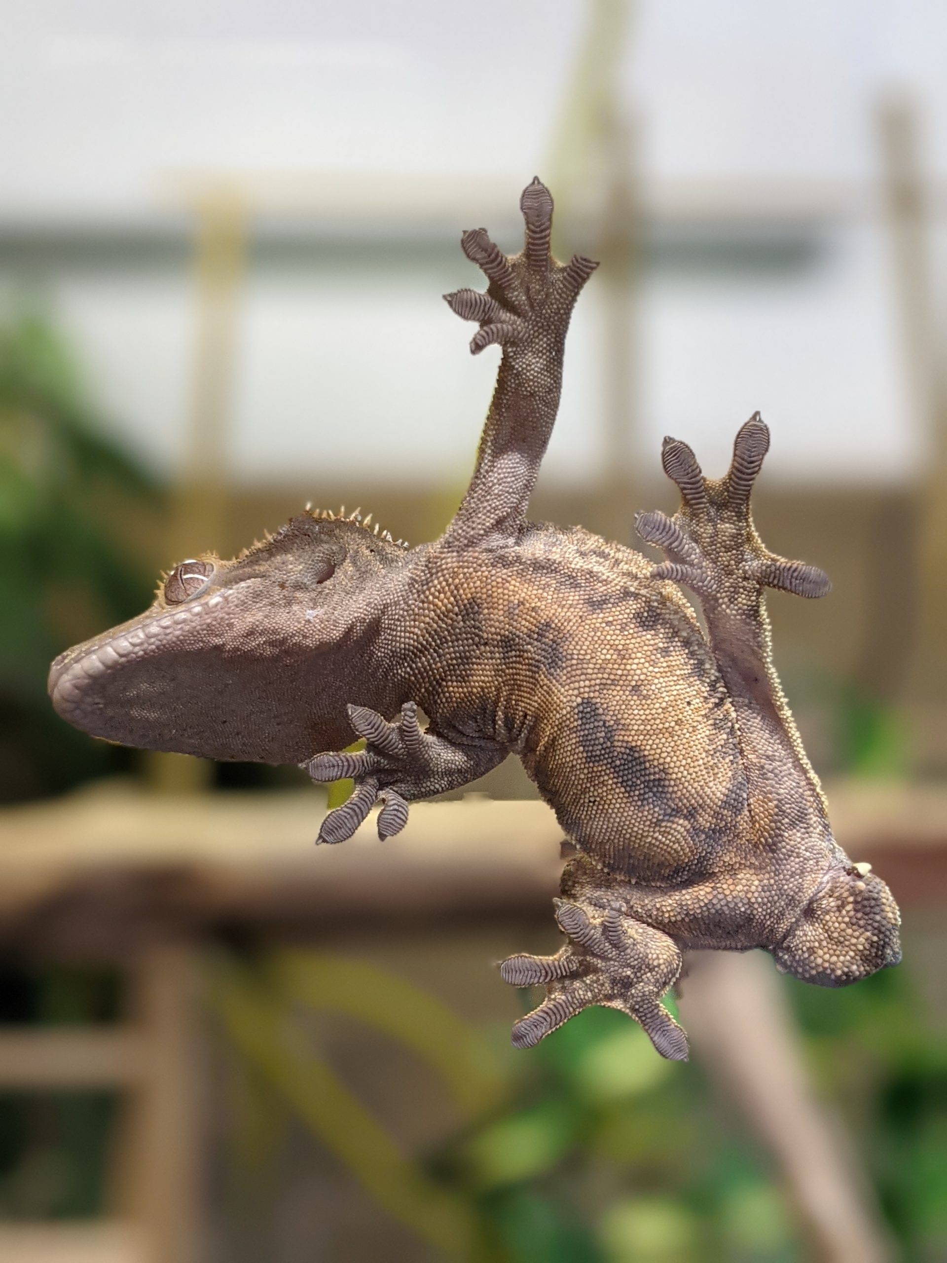 PXL_20210323_152431438.PORTRAIT (1)