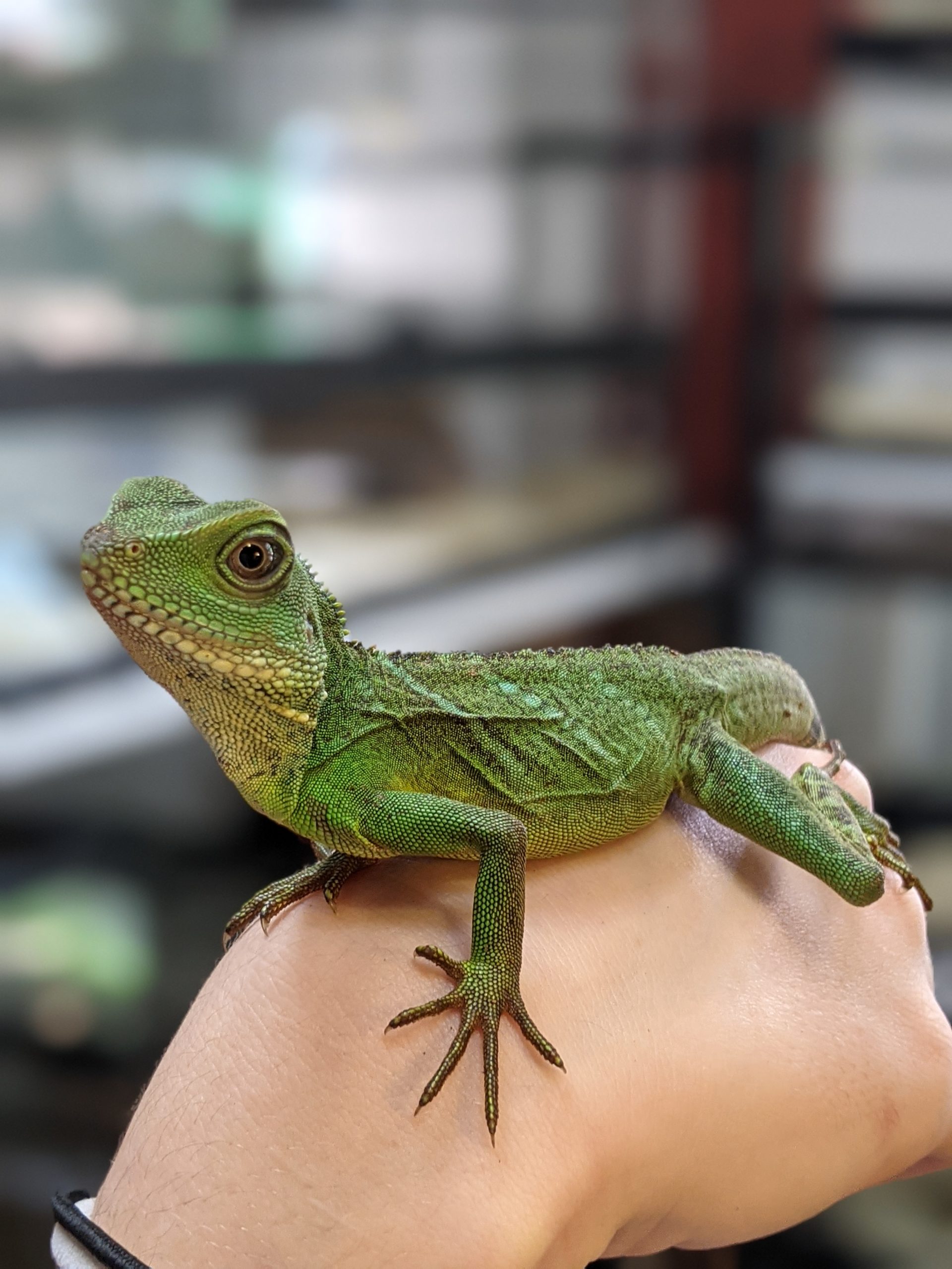 PXL_20210323_153919409.PORTRAIT