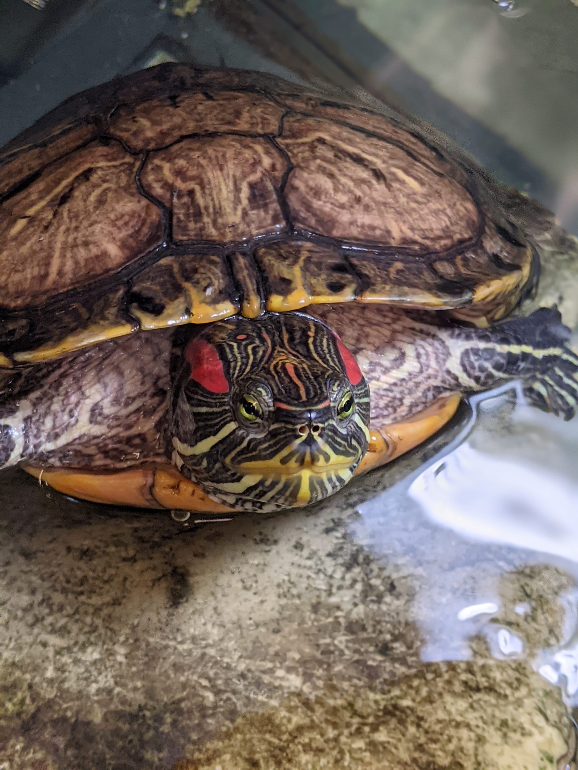 PXL_20210629_141312676.PORTRAIT