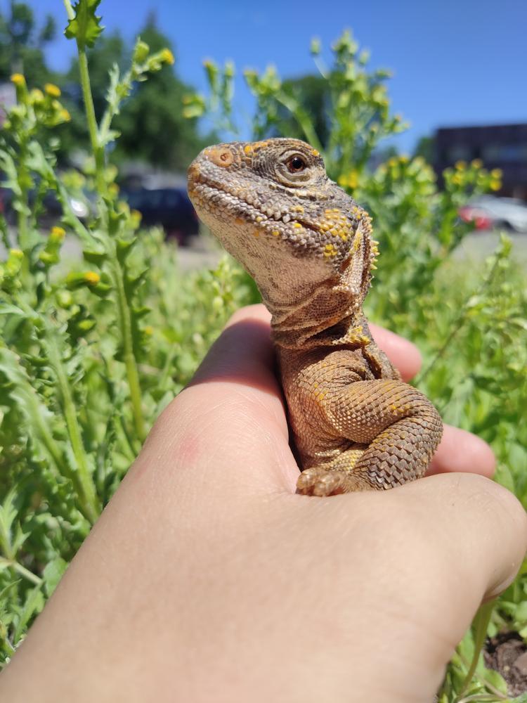 IMG_20210706_222155_954