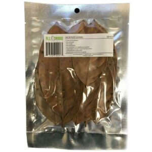 Feuilles de jacquier