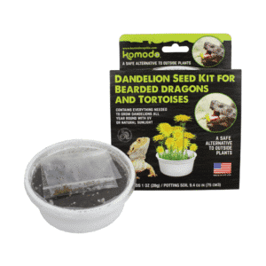 Kit de graines de pissenlit pour dragons barbus et tortues
