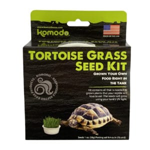 Kit de graines d'herbe pour tortue