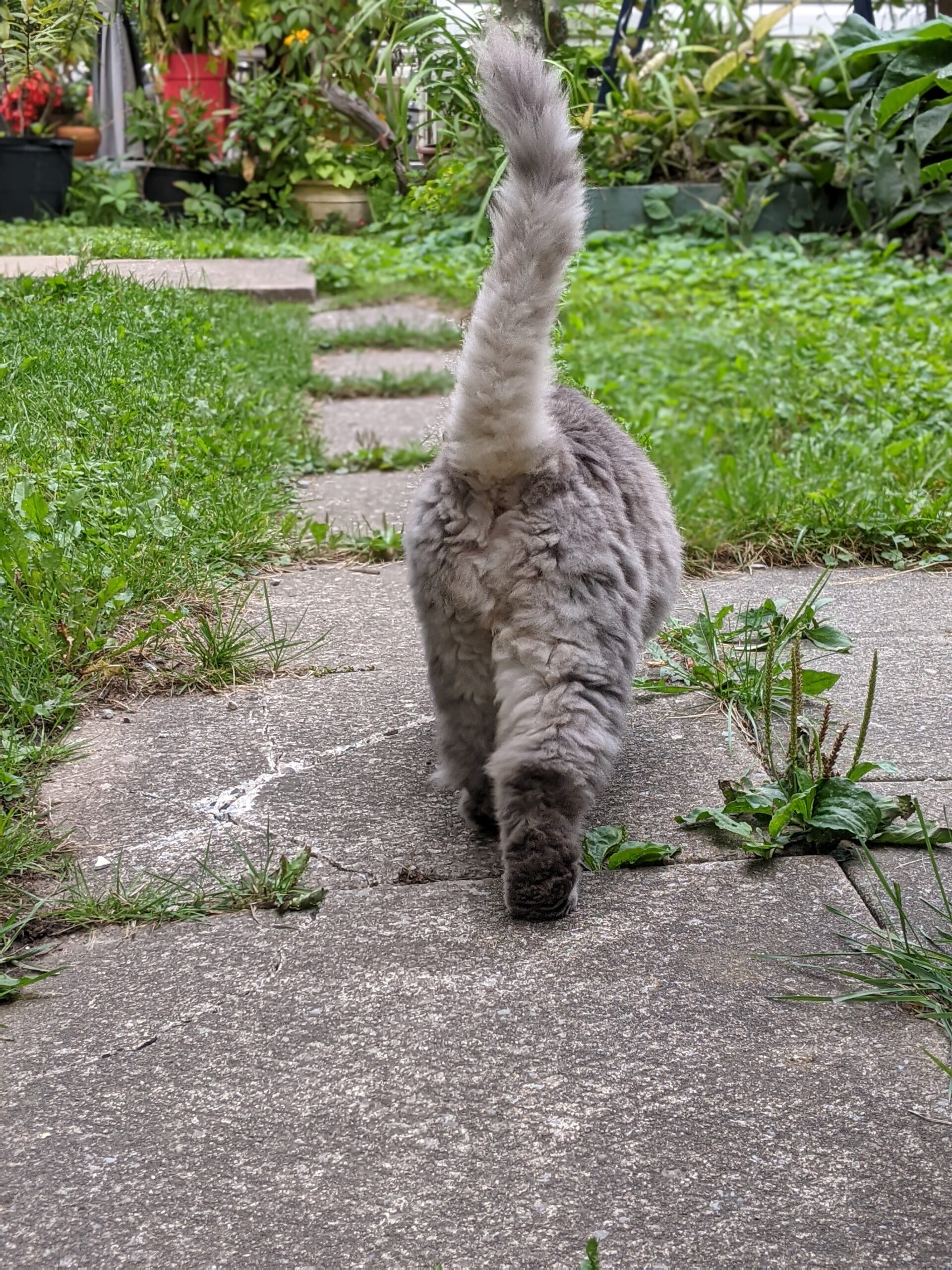 PXL_20210911_214505600.PORTRAIT