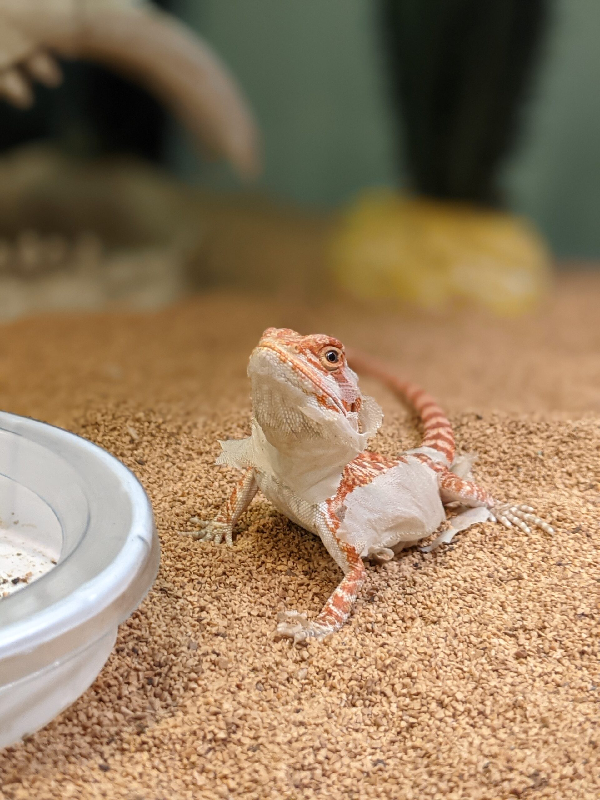 PXL_20210929_150858479.PORTRAIT