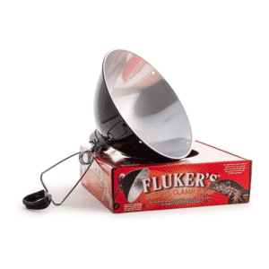 Lampe à pince avec interrupteur -10 pouces