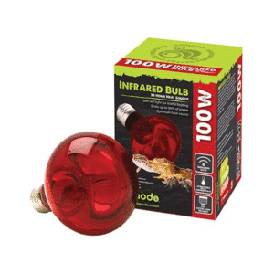Ampoule infrarouge 100W