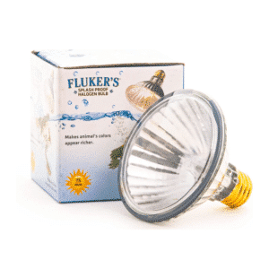 Ampoule halogène anti-éclaboussures 75w