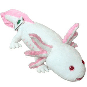 Axolotl blanc
