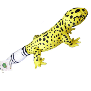 Gecko léopard