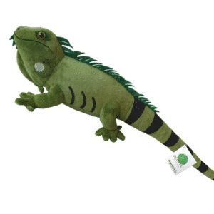 Iguane vert