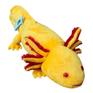 Axolotl orange